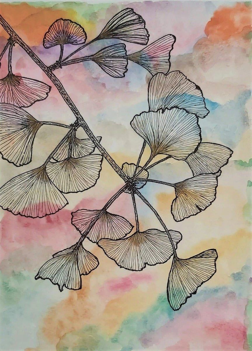 Gingko